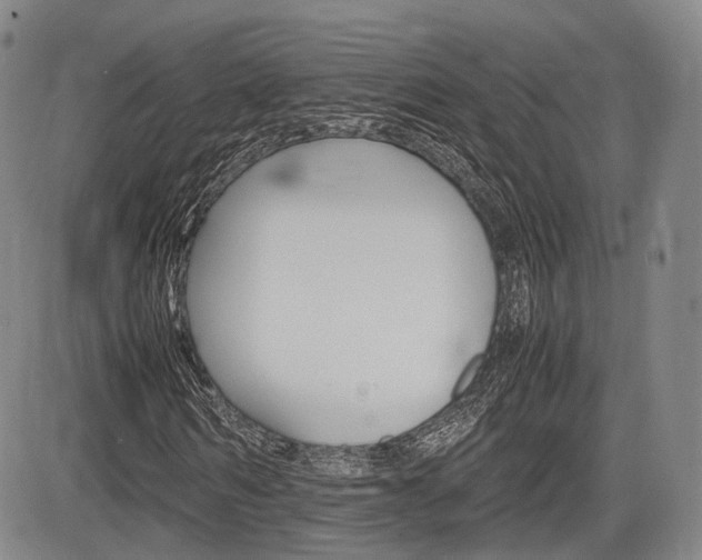 X0000085750962200703160833