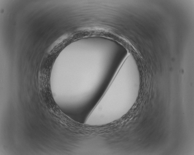 X0000085750967200703160833
