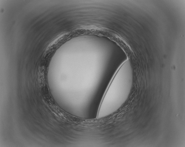 X0000085750968200703160833