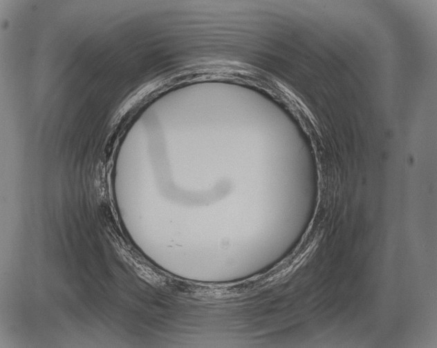 X0000085750970200703160833