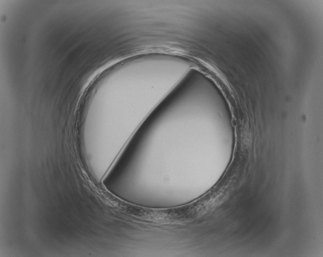 X0000085750971200703160833