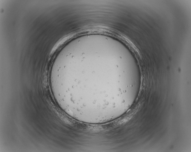 X0000085750978200703160833