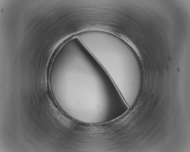 X0000085750980200703160833