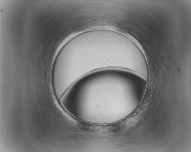 X0000085751005200703160833