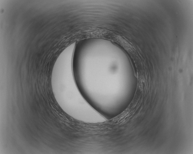 X0000085751010200703160832