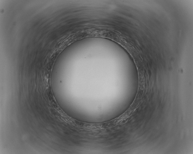 X0000085751013200703160832
