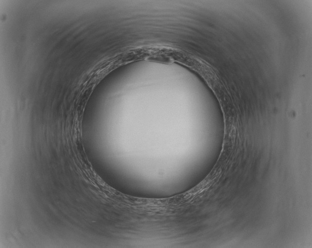 X0000085751014200703160832