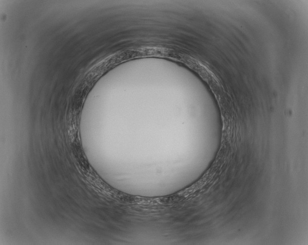 X0000085751015200703160832