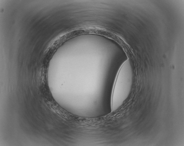 X0000085751016200703160832