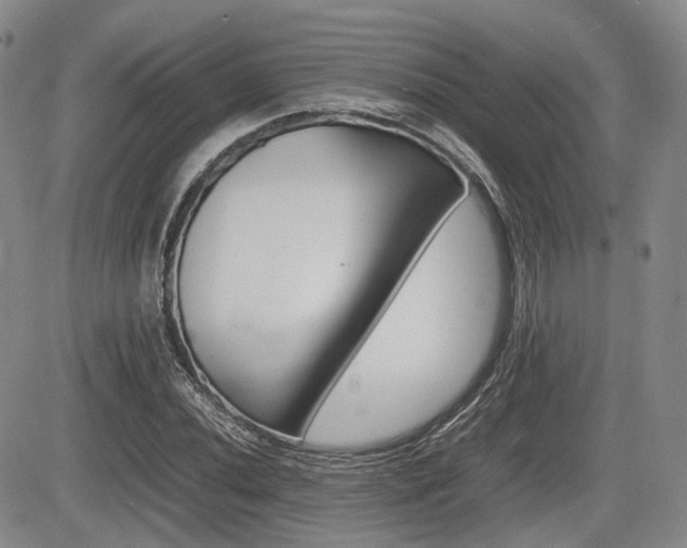 X0000085751020200703160832
