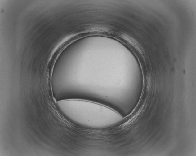 X0000085751021200703160832