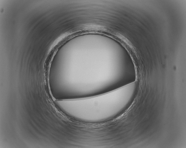 X0000085751022200703160832