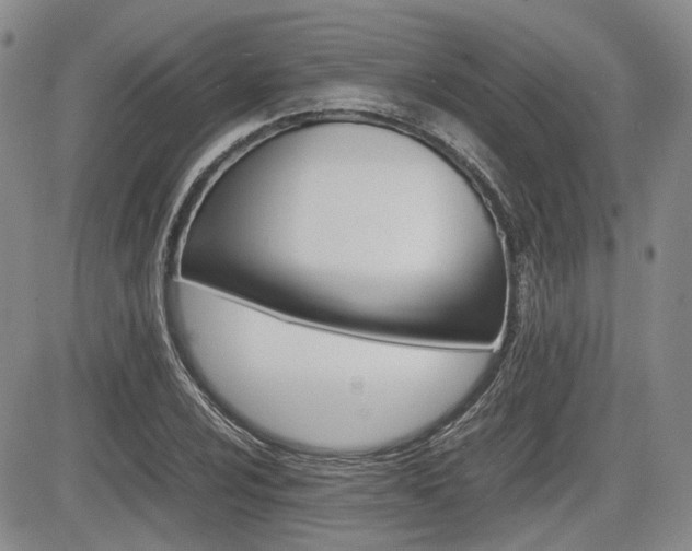X0000085751024200703160832