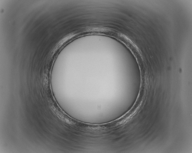X0000085751025200703160832