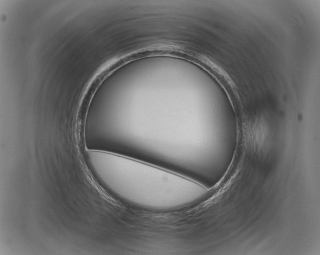X0000085751029200703160832