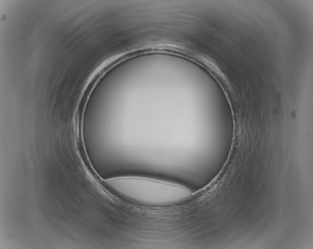 X0000085751032200703160832