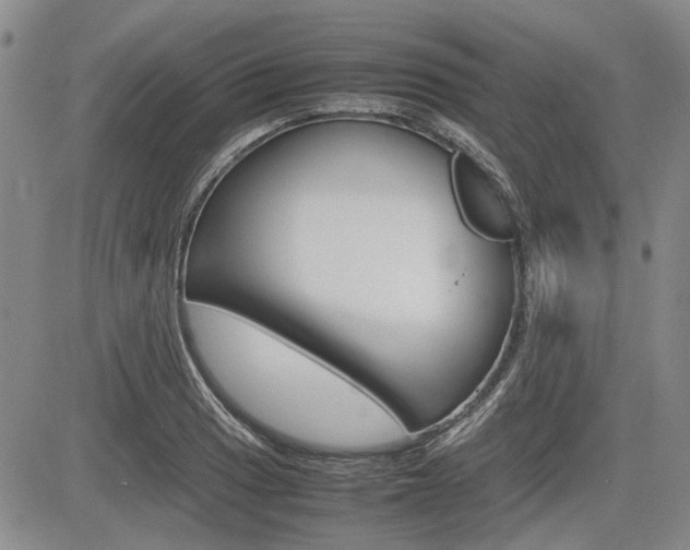 X0000085751033200703160832