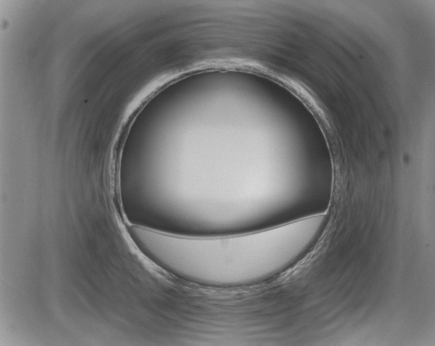 X0000085751046200703160833