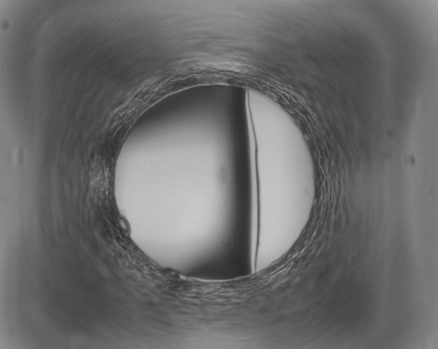 X0000085751061200703160832