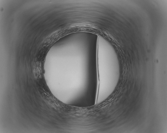X0000085751062200703160832