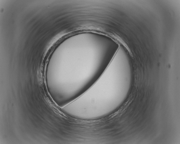 X0000085751068200703160832