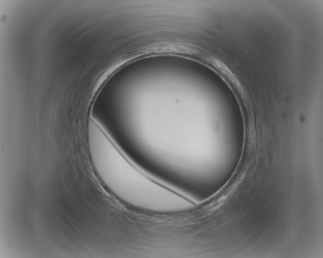 X0000085751089200703160831