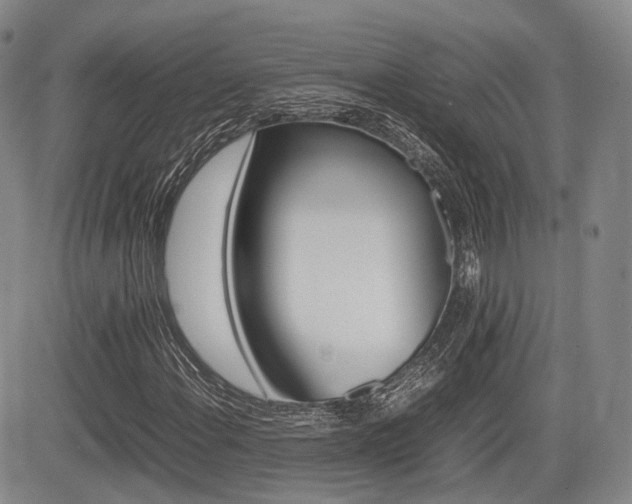 X0000085751108200703160830