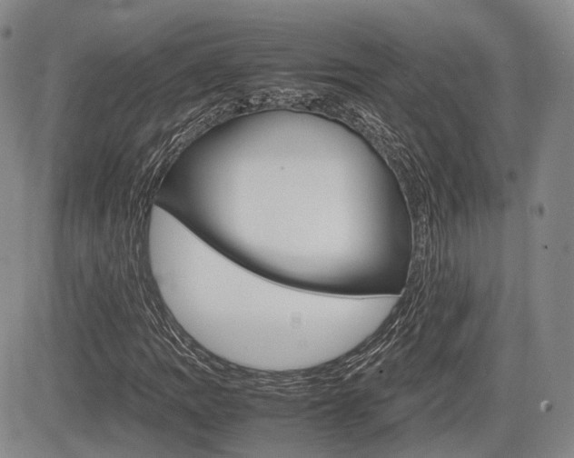 X0000085751109200703160830