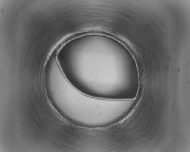 X0000085751118200703160831