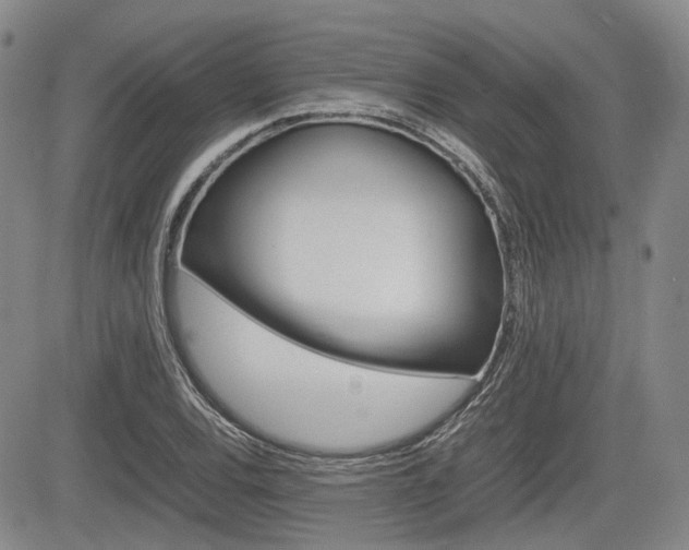 X0000085751120200703160831
