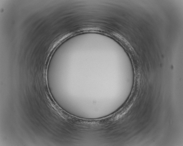 X0000085751121200703160831