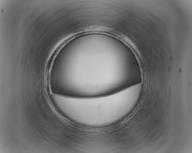 X0000085751124200703160831
