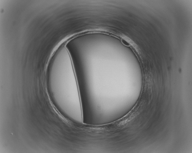 X0000085751127200703160831
