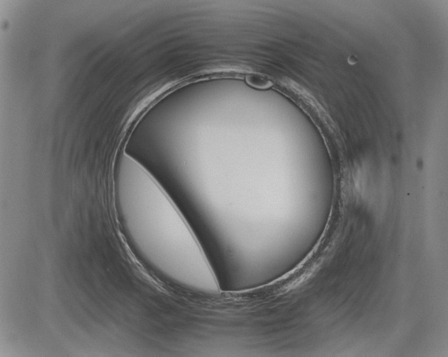 X0000085751129200703160831