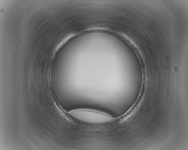 X0000085751137200703160831