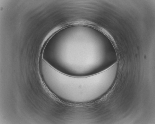 X0000085751138200703160831