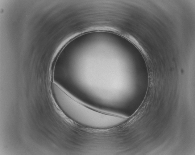 X0000085751140200703160831