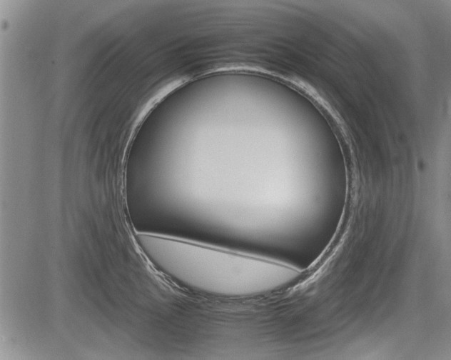 X0000085751145200703160831