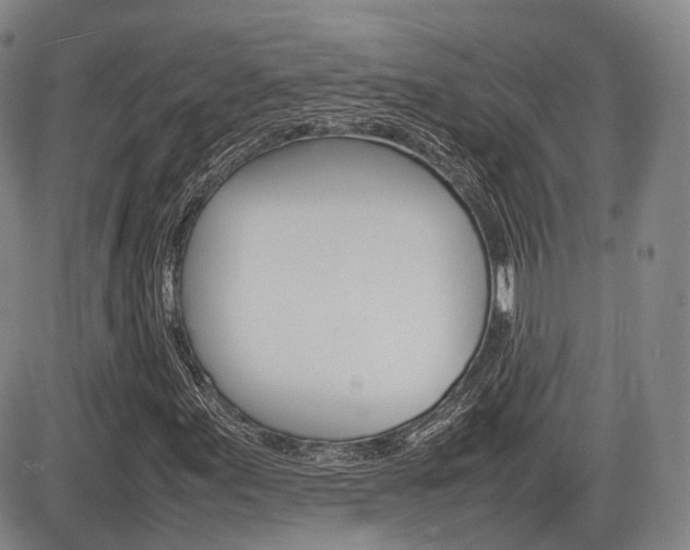 X0000085751155200703160830