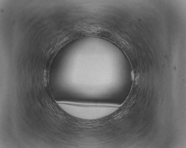 X0000085751156200703160830