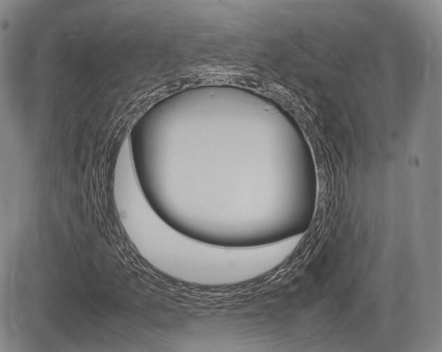 X0000085751157200703160830