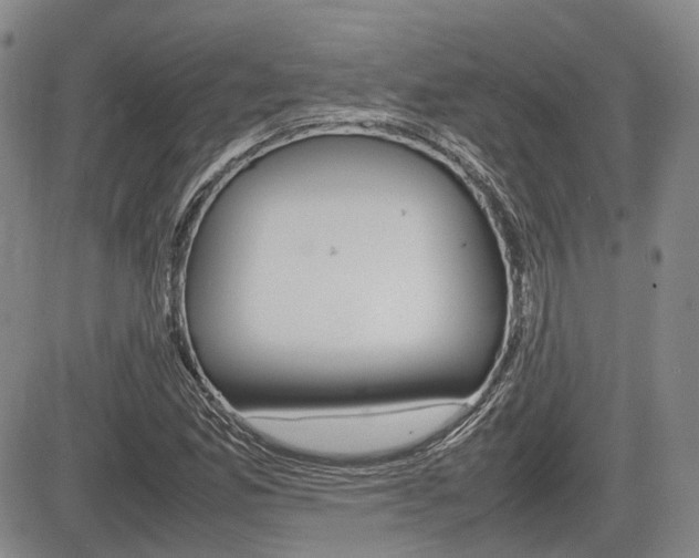 X0000085751165200703160830