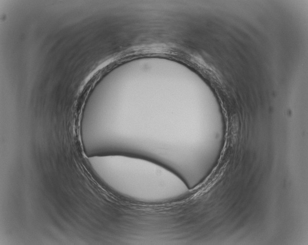 X0000085751166200703160830
