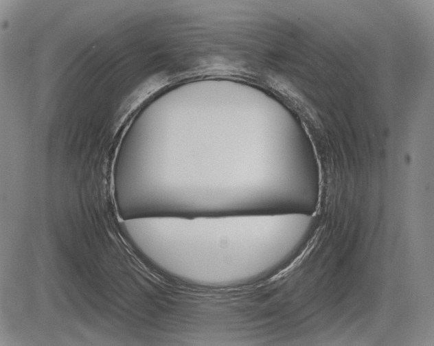 X0000085751170200703160830