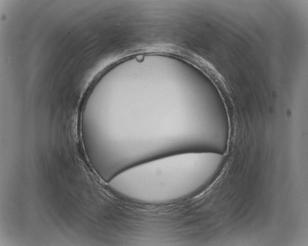 X0000085751174200703160830