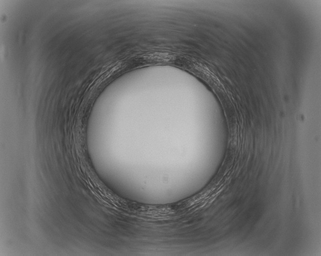 X0000085751201200703160829