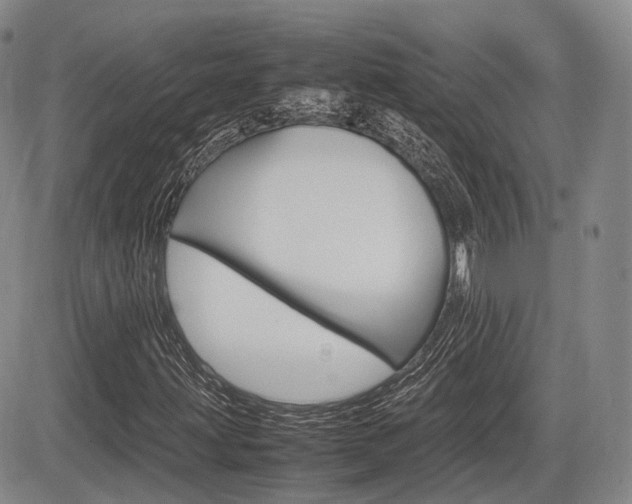 X0000085751203200703160829