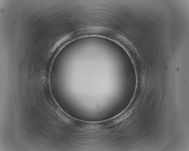 X0000085751210200703160829