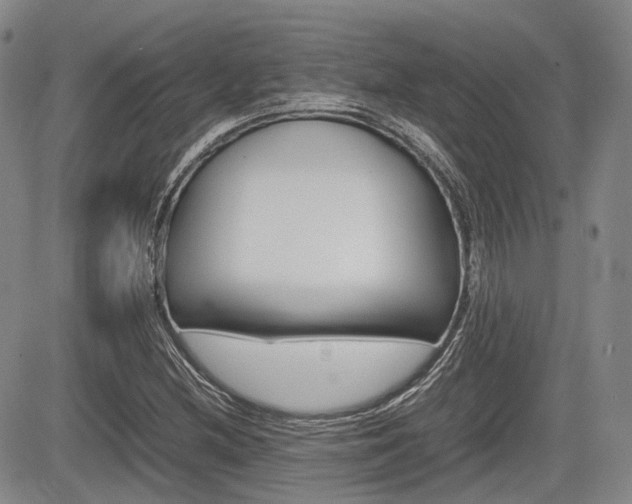 X0000085751212200703160829