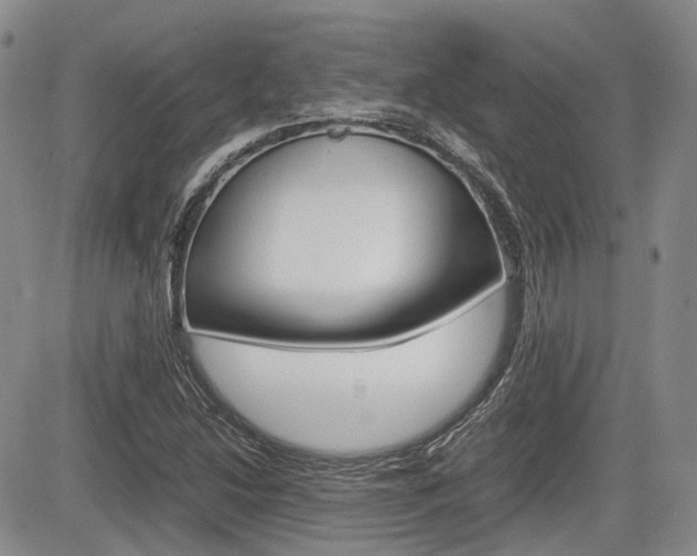 X0000085751214200703160829